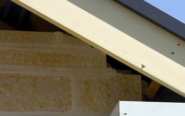 soffit repair Shortheath