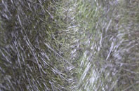 Shortheath fibreglass roof work